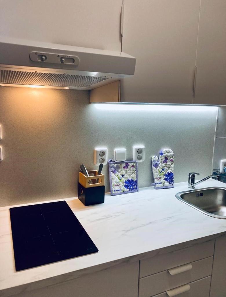Active Wellness hotel U zlaté rybky Vyškov Kültér fotó