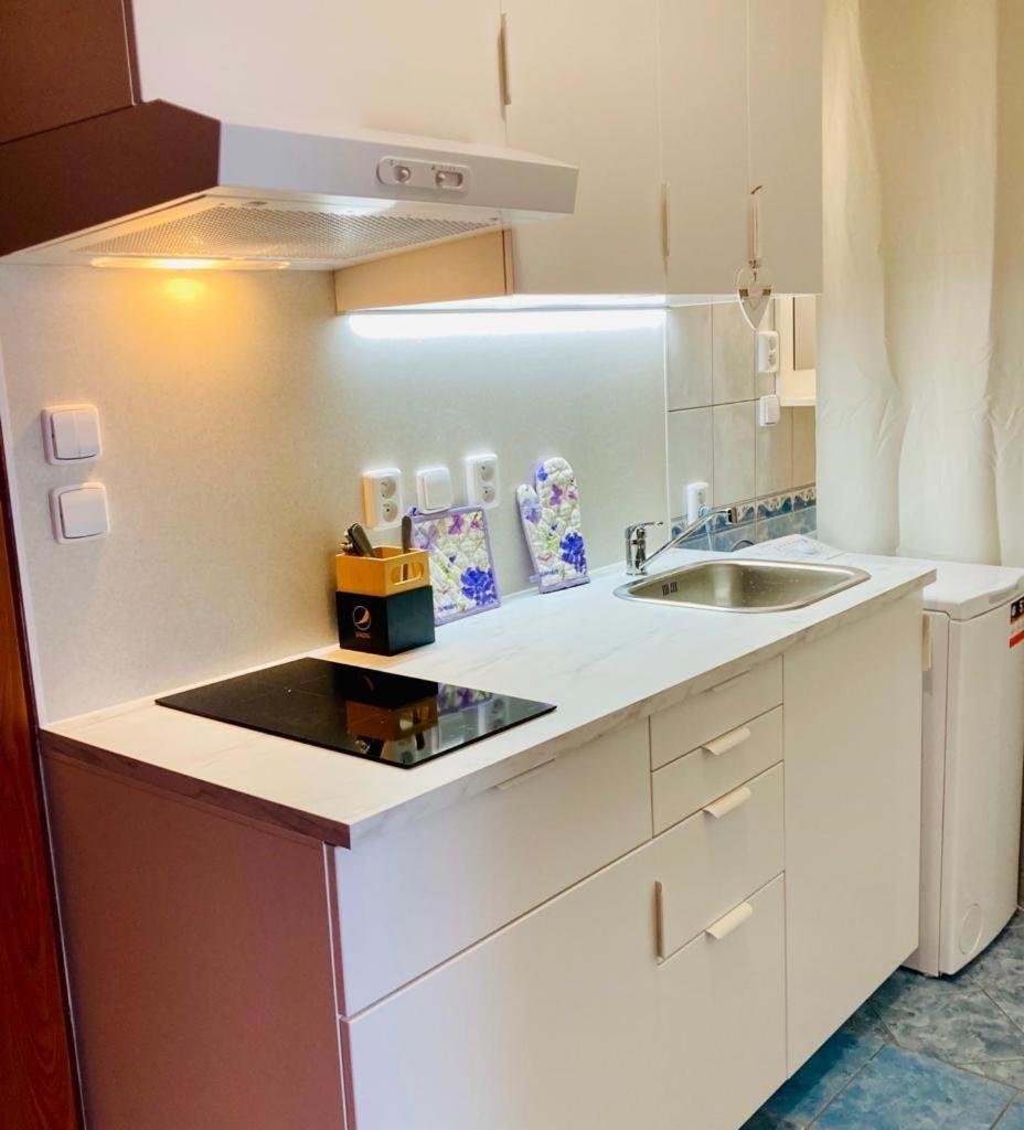 Active Wellness hotel U zlaté rybky Vyškov Kültér fotó